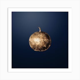 Gold Botanical Adam's Apple on Midnight Navy n.0388 Art Print