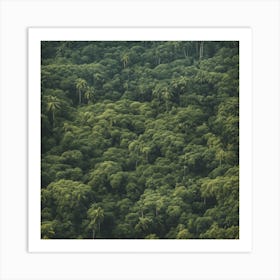 Aerial View Of A Tropical Rainforest Art Print