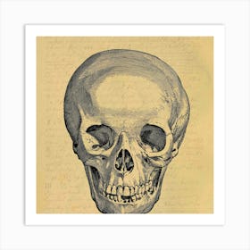 Skull Of A Human 1 Art Print