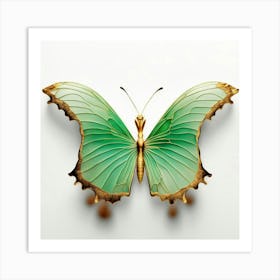 Butterfly - Butterfly Stock Videos & Royalty-Free Footage Art Print