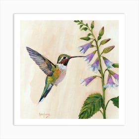 Hummingbird On Flower Art Print