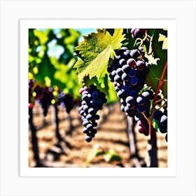 Grapes In The Vineyard 5 Art Print