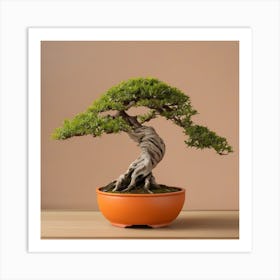 Green bonsai in orange pot Art Print