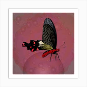 Mechanical Butterfly The Common Windmill Byasa Polyeuctes On A Pink Background Art Print