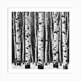 Birch Trees In The Snow Art Print