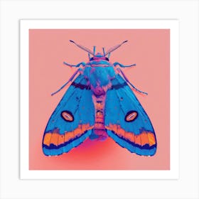 Moth On Pink Background Art Print