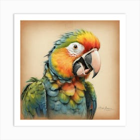 Parrot Canvas Print 2 Art Print