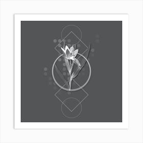 Vintage Tulipa Oculus Colis Botanical with Line Motif and Dot Pattern in Ghost Gray n.0396 Art Print