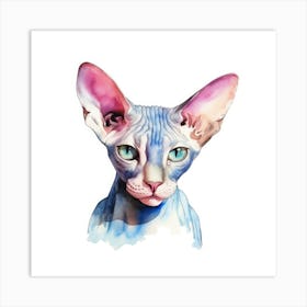 Sphynx Standard Cat Portrait 3 Art Print