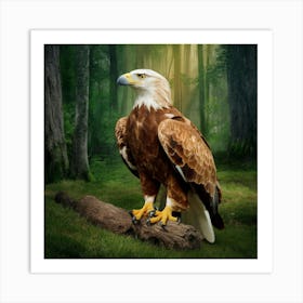 Eagle In The Forest 1 Art Print