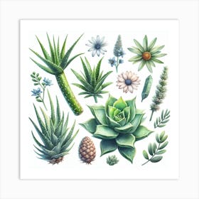 Aloe 1 Art Print