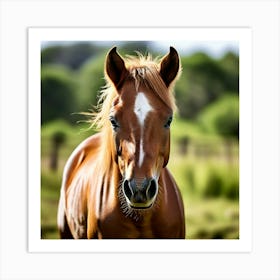 Grass Horse Mammal Animal Head Steady Offspring Beauty Riding Horse Mare Dam Cute Streng (2) Art Print