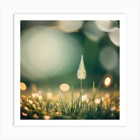 Bokeh Bokeh Art Print