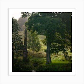 Tree In A Field Art Print