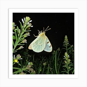 Syrphid Moth 1 Art Print