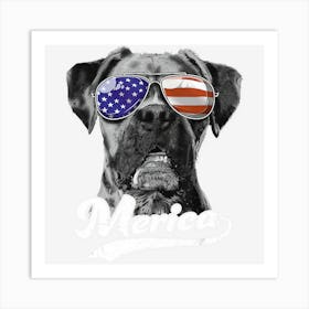 Limited Edition Boxer Sunglasses Usa American Flag 4th Of July Art Print