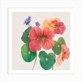 Pansies Art Print