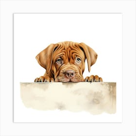 Dachshund Puppy Art Print