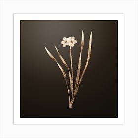 Gold Botanical Primrose Peerless on Chocolate Brown n.2247 Art Print
