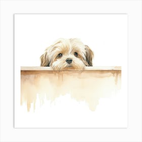 Shih Tzu Dog 2 Art Print