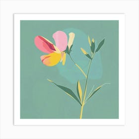 Sweet Pea 3 Square Flower Illustration Art Print