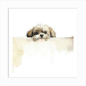 Shih Tzu Dog 3 Art Print