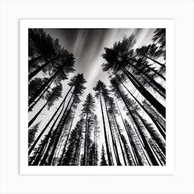 Black And White Forest 4 Art Print