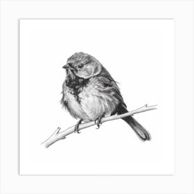Bird On A Branch 10 Art Print