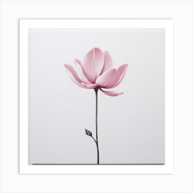 Pink Lotus Art Print