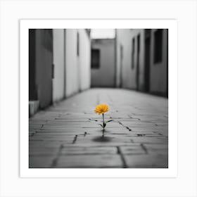 Single Flower In The Street Art Print