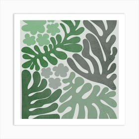 Ferns Art Print