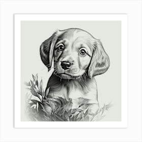 Cute baby puppy dog animal sitting nature pencil drawing Art Print