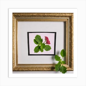 Geranium 1 Art Print