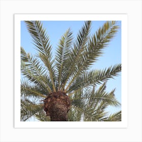 Under A Palm Tree Art Print