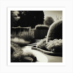 Garden In Black And White Art Print