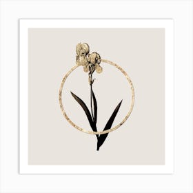 Gold Ring Tall Bearded Iris Glitter Botanical Illustration Art Print