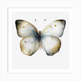 Butterfly On Black Background Art Print