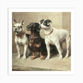 Dogs 1 Art Print