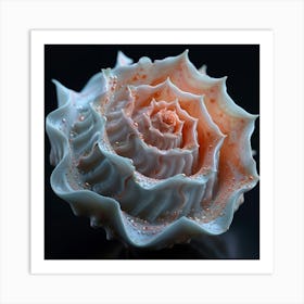 Seashell flower Art Print