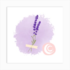 Lavender (Water Flower) Art Print