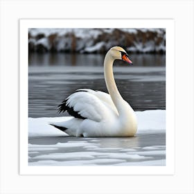 Cisne En La Nieve Art Print