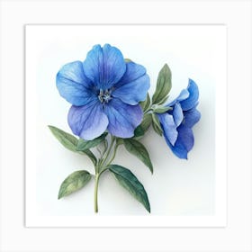 Blue Geranium 2 Art Print