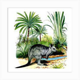  australian Nature  Art Print