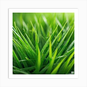 Green Grass 32 Art Print