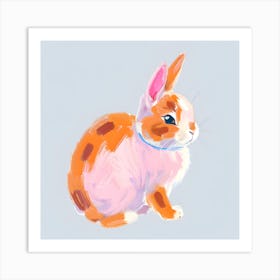 Netherland Dwarf Rabbit 04 Art Print