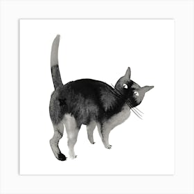 Kitty Art Print