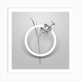 Vintage Gladiolus Ringens Minimalist Botanical Geometric Circle on Soft Gray Art Print