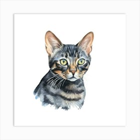 Black Bengal Cat Portrait 1 Art Print