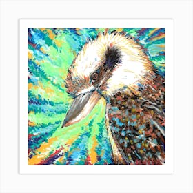 Kookaburra Stare Art Print