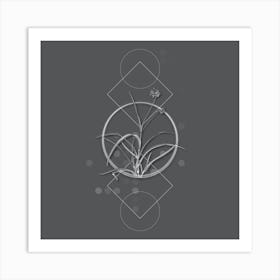 Vintage Spiderwort Botanical with Line Motif and Dot Pattern in Ghost Gray n.0247 Art Print